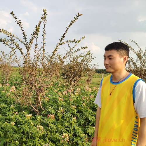 37岁岁广东单身帅哥 - 西双版纳吉缘网
